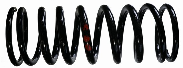 Coil Spring front